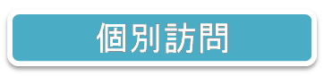 個別訪問